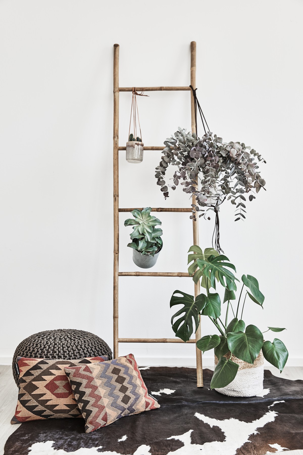 Plantas, plantas y más plantas tendencias_otono_plantas_reales