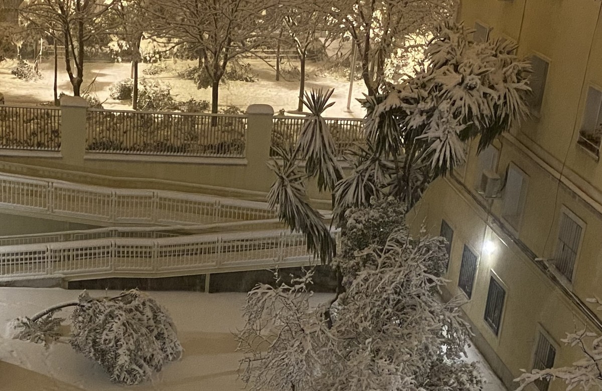 Guía para reclamar siniestros en edificios y viviendas tras el paso de Filomena