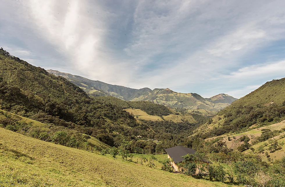 La casa, rodeada de naturaleza