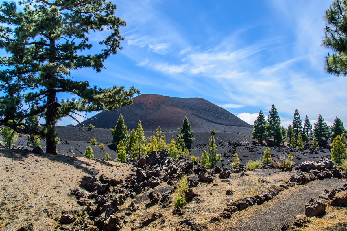 Die Landschaft auf Teneriffa ist bei Wanderern sehr beliebt Die Landschaft auf Teneriffa ist bei Wanderern sehr beliebt