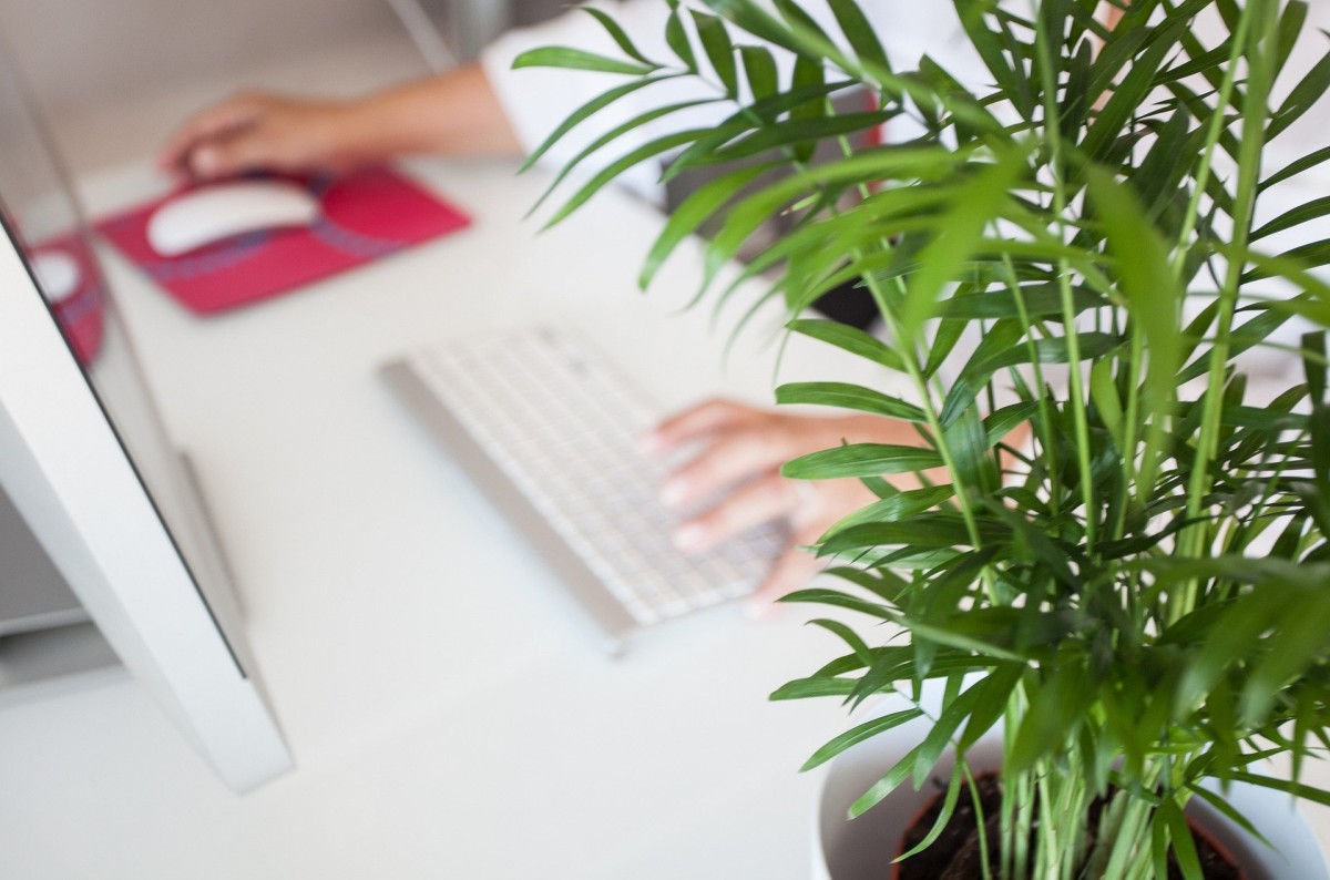 Consejos prácticos y soluciones para el teletrabajo que ocupan poco espacio en casa