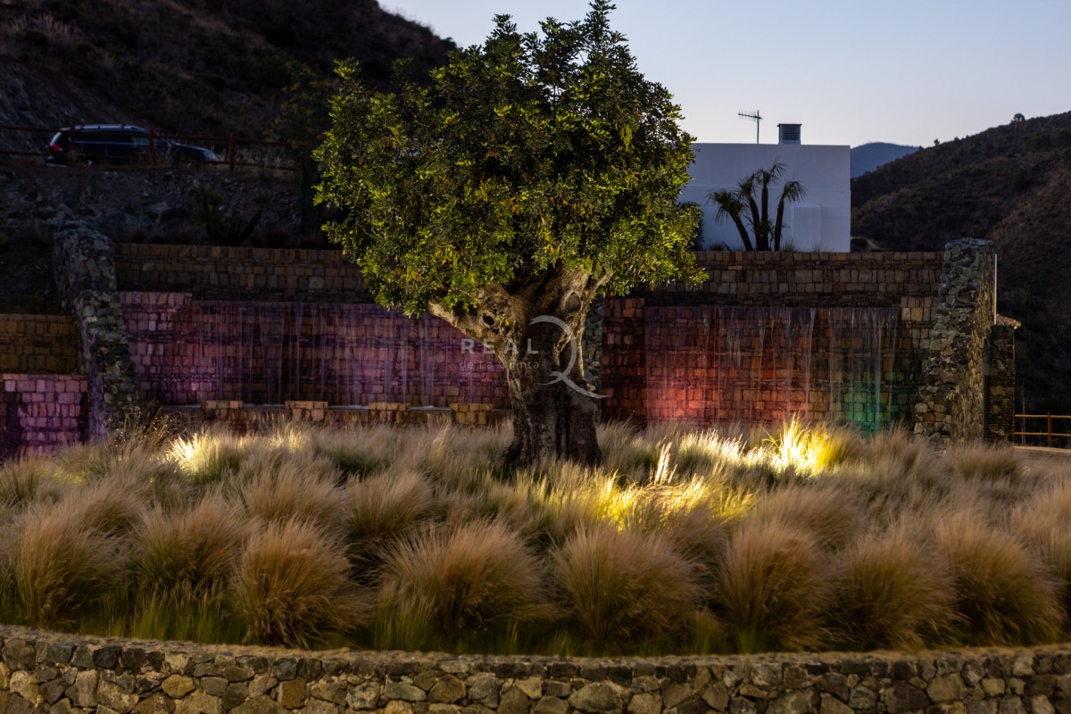 9d9a1295_51039279561_o