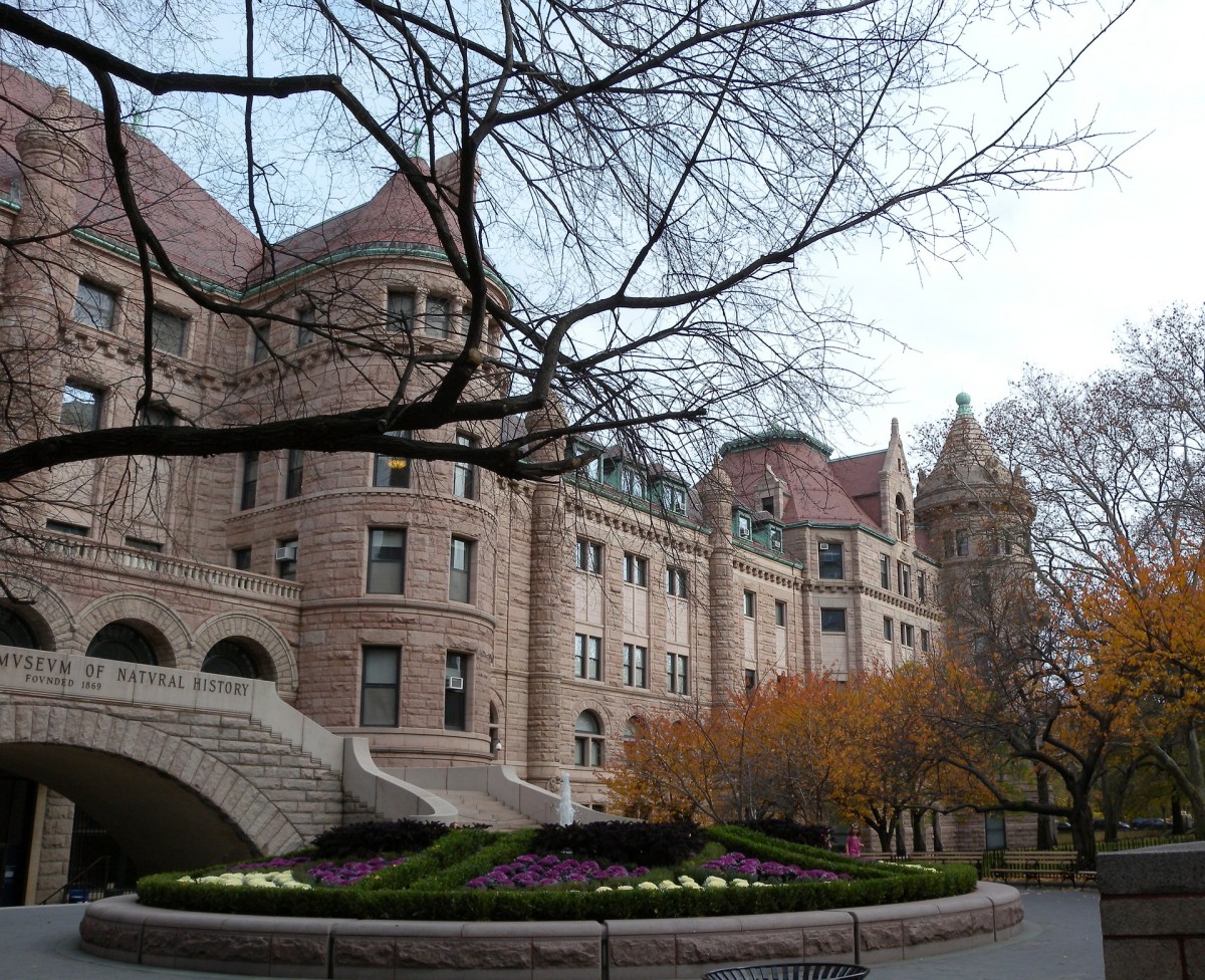 american-museum-of-natural-history-876030_1920