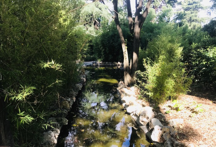 Parques y espacios abiertos donde hacer un picnic en Madrid