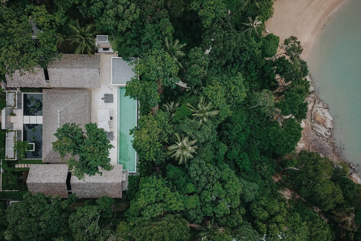 Los árboles dan privavidad