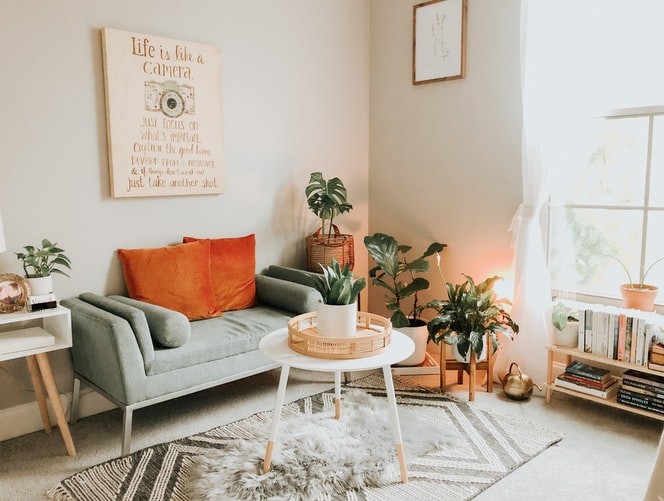 Cómo decorar la casa con plantas: una guía con consejos para todas las habitaciones