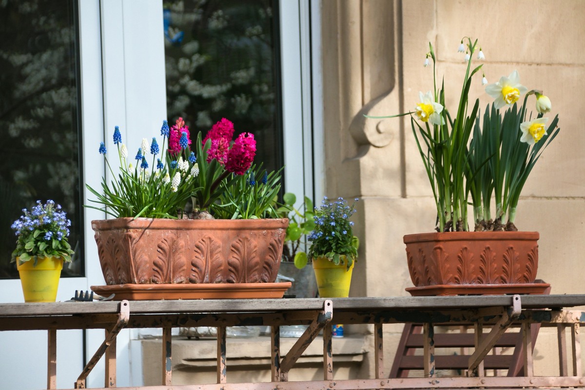 Consejos útiles para sacar todo el partido a tu terraza (incluso si es mini)