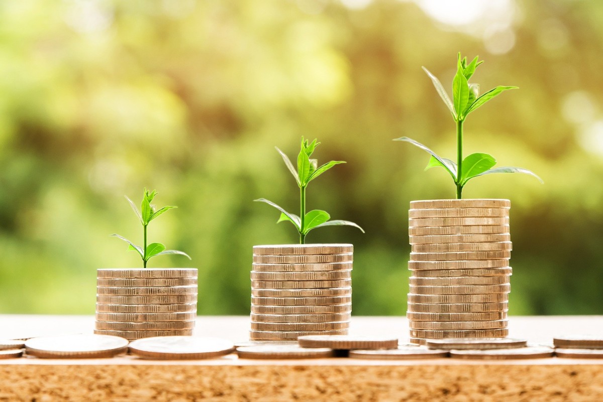 Placas solares: renting, leasing o compra