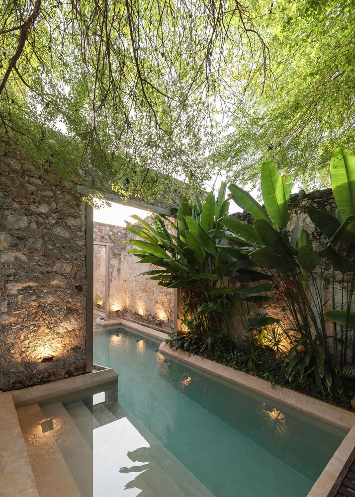 Un oasis dentro de casa