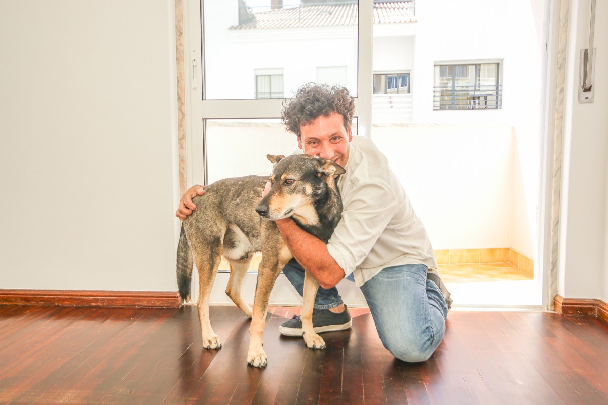 Esta es la historia de Lucky, el "asesor perruno inmobiliario" que eleva las ventas