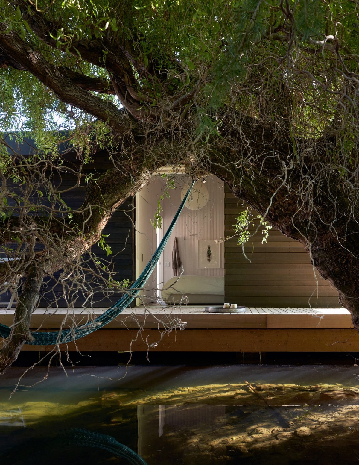 Rodeada de agua y con árboles