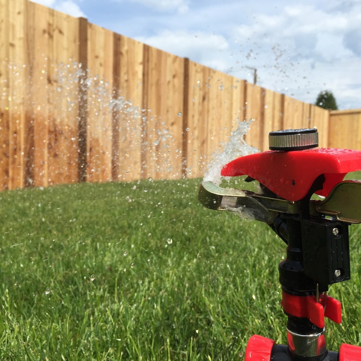 Cómo mantener tu jardín cuidado este verano