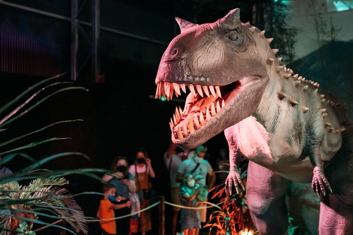 Planes para hacer en Madrid este verano: cuatro salidas por la capital (y fuera) que son planazos