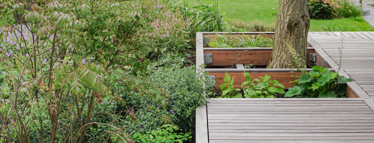 Es un proyecto de un estudio de arquitectura local