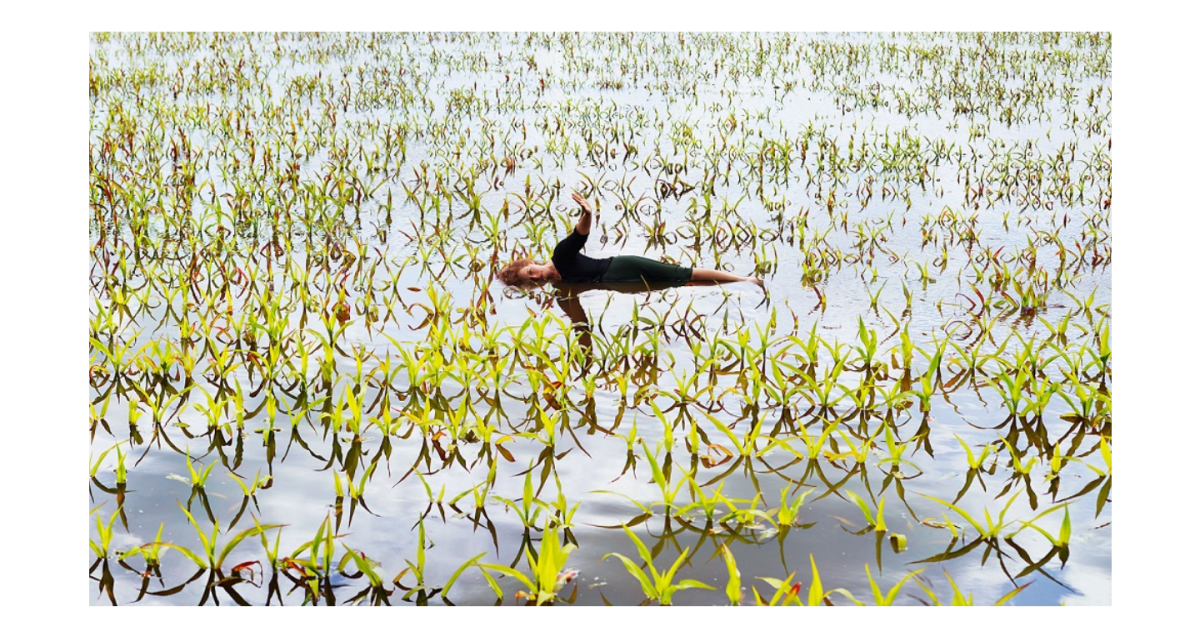 Fotografía de Ellen Kooi por 1.600 euros (35x62 cm) descarga_9