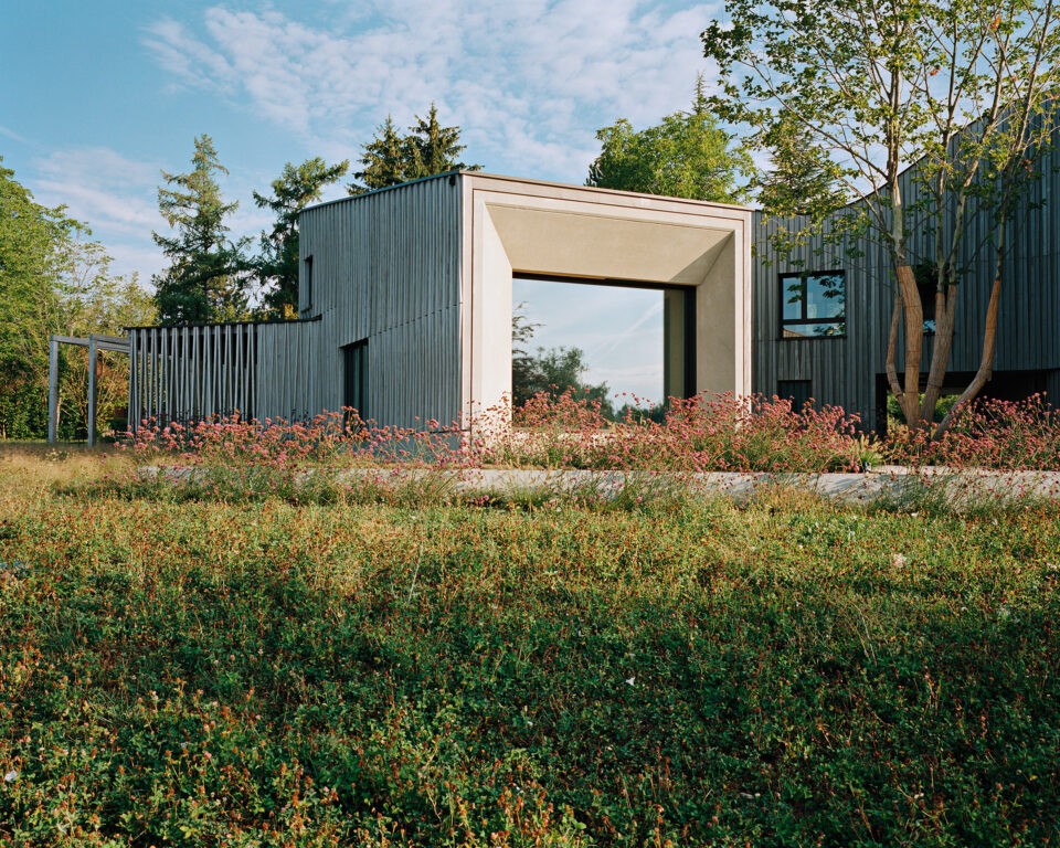 Para dejar paso a la luz y disfrutar del entorno
