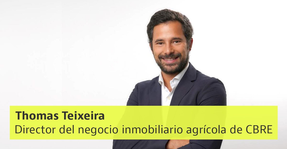 Thomas Teixeira (CBRE): “el inmobiliario agrícola no tiene tantas diferencias con el ‘retail’ o las oficinas”