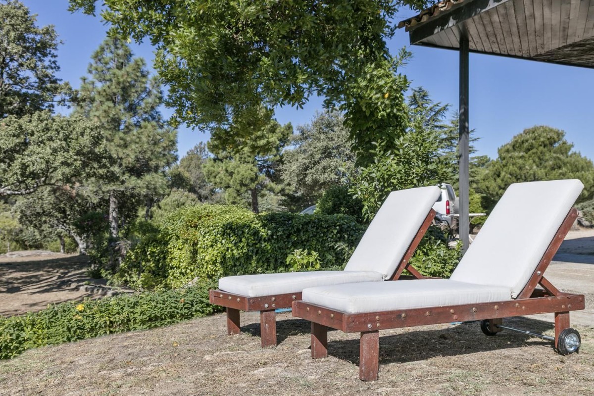 Spacious private terraces