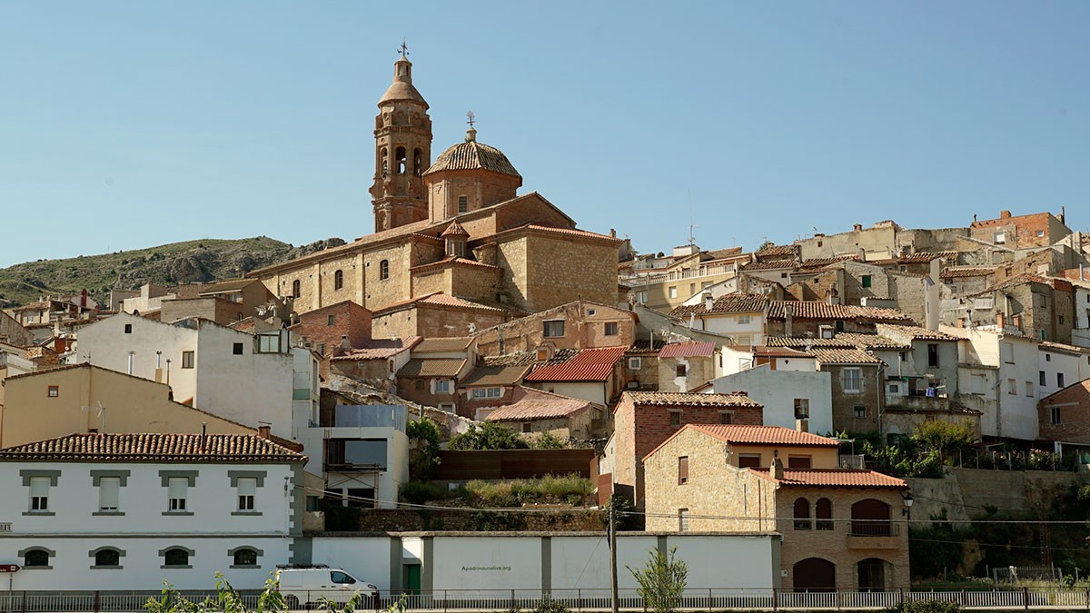 Fundación Apadrina un Olivo: revitalizando pueblos vacíos gracias al cultivo del olivo