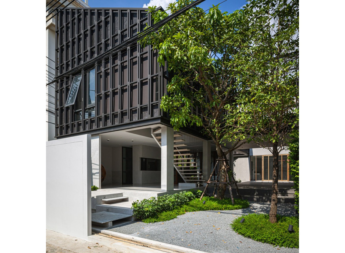 El árbol, protagonista