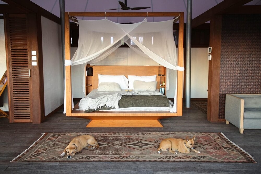 Amplio y con la madera como protagonista