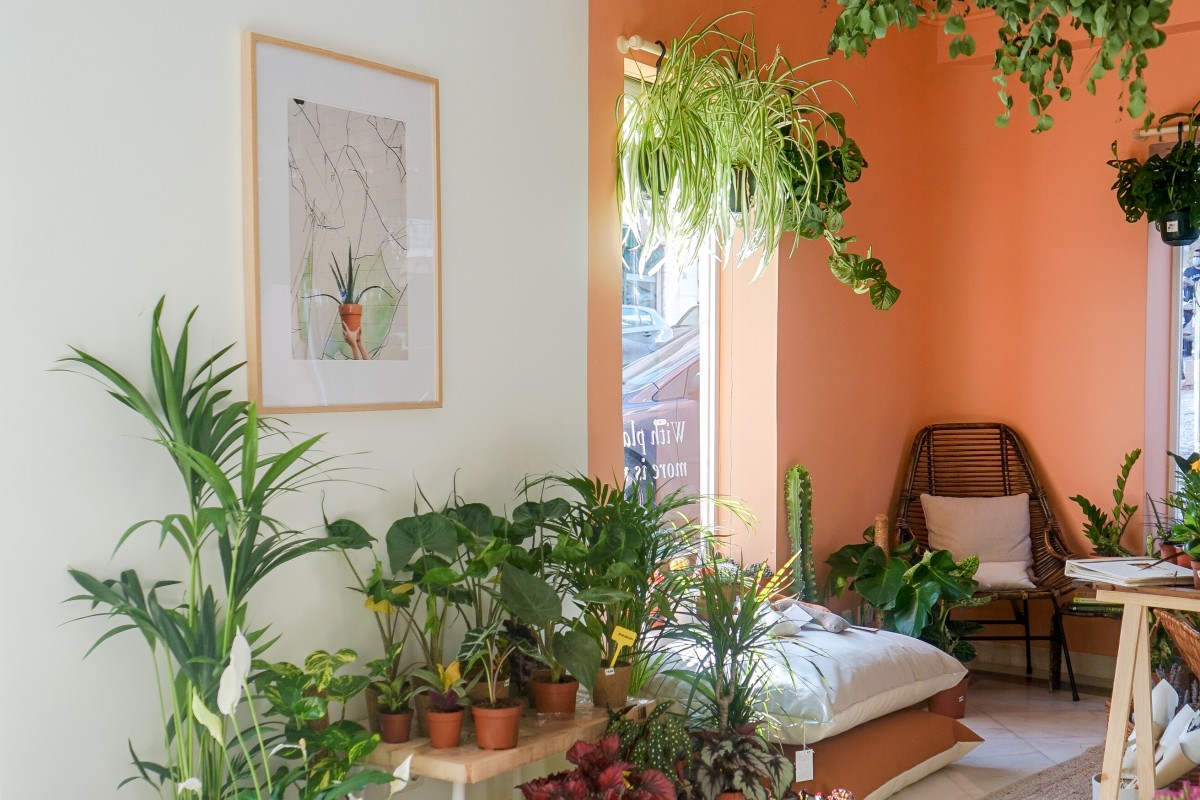 Ideas para crear tu propio santuario de plantas en casa — idealista/news