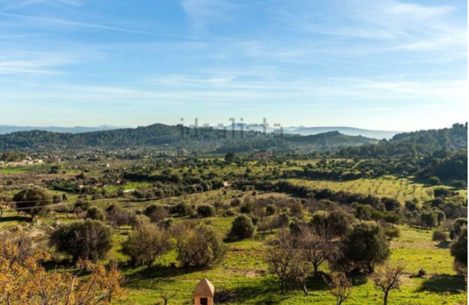 Rodeado de olivos y almendros