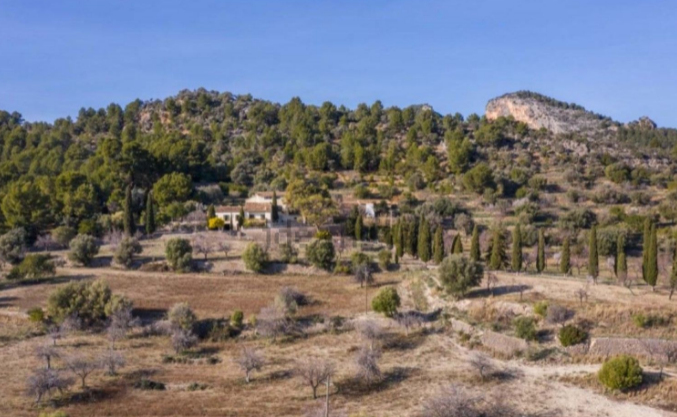 Sus orígenes datan del siglo XVIII