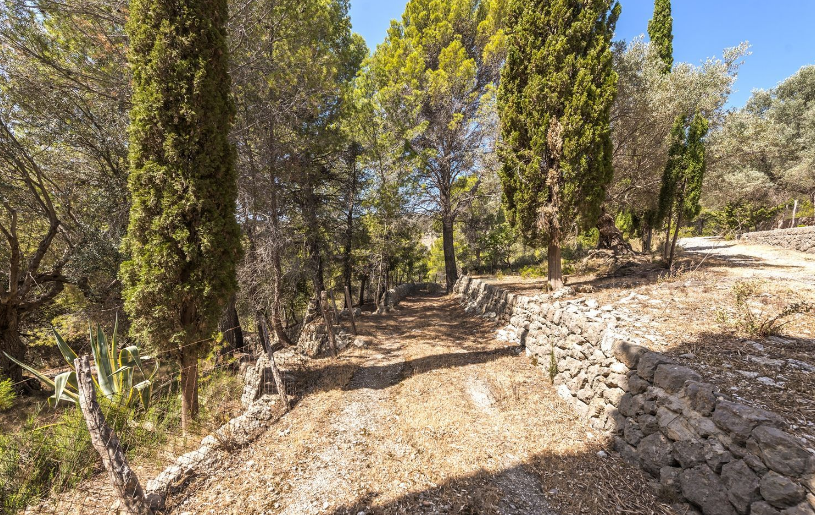 Con caminos privados para disfrutar del entorno natural