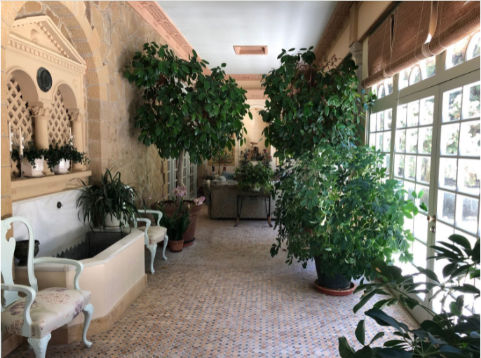 Las plantas, también dentro del inmueble