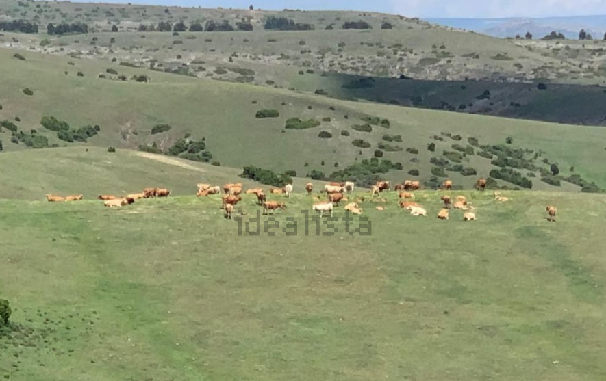 ¿Cansado de la ciudad? A la venta una finca con explotación ganadera en Teruel por 2,2 millones