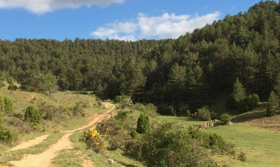 ¿Cansado de la ciudad? A la venta una finca con explotación ganadera en Teruel por 2,2 millones