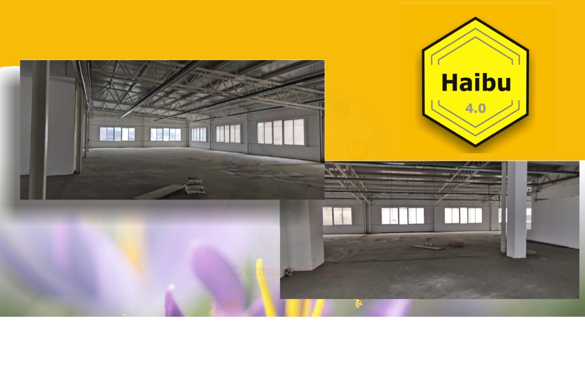 Las casas colmena esquivan a Colau: abrirá un recinto de 3.000 m2 en una nave industrial de Barcelona