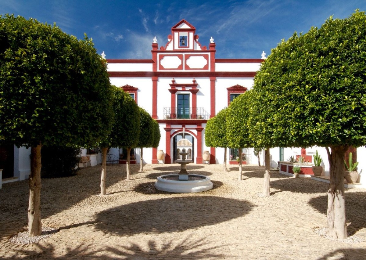 Gli alberi da frutto nel cortile centrale