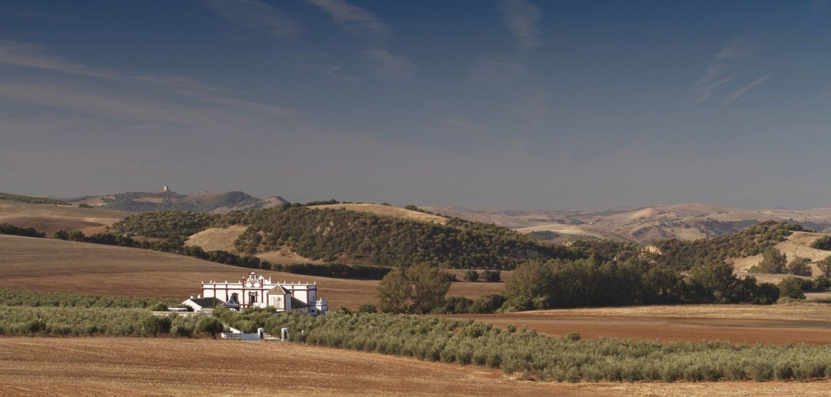 La villa offre pace e tranquillità in campagna