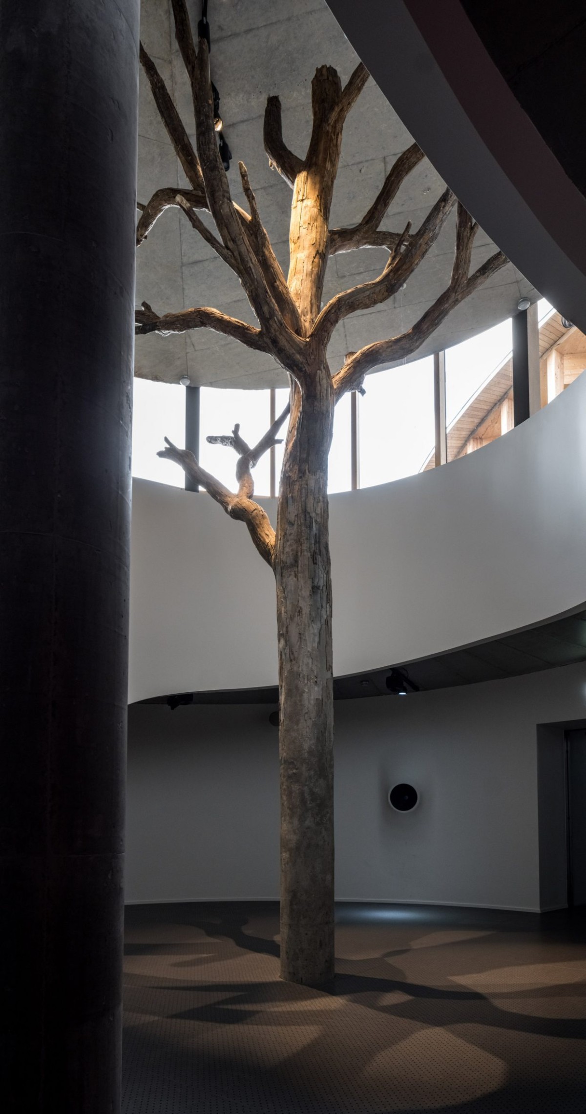 El paisajismo es obra de los daneses MASU Planning