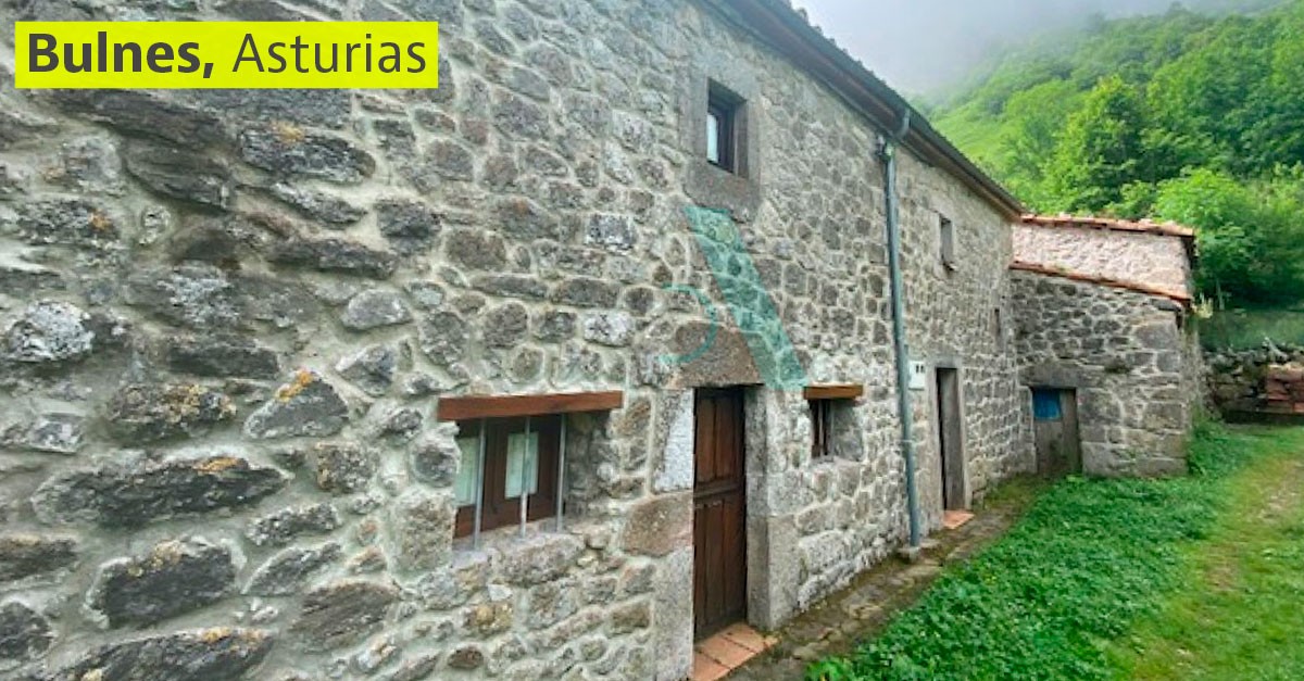 10-bulnes