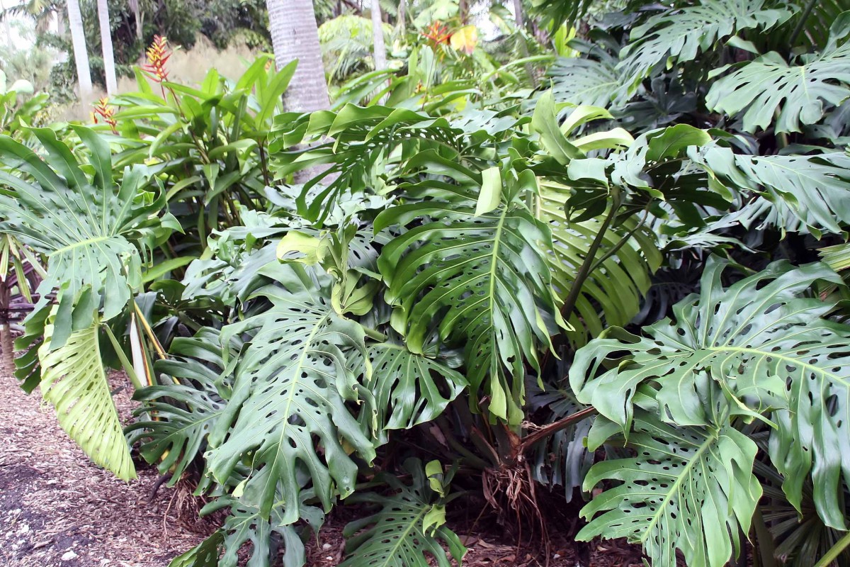Cómo crear maceteros y macetas de jardín de forma práctica y colorida