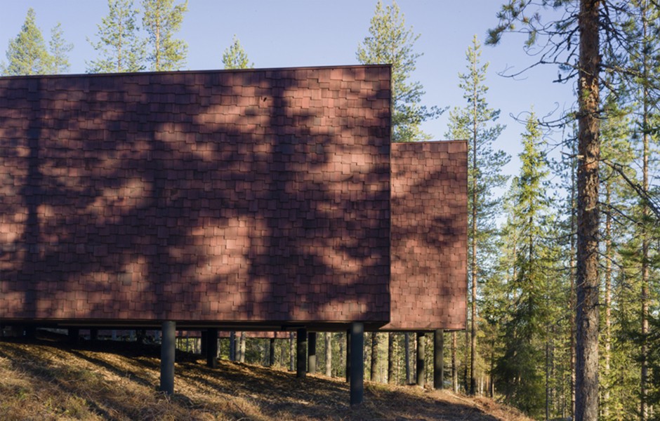 Los árboles rodean a las cabañas