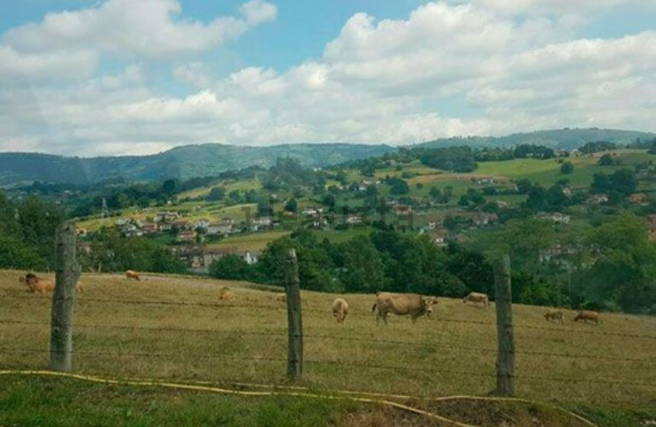 En venta 1.000 suelos para levantar viviendas con una entrada de solo el 10% y pago aplazado a 2023