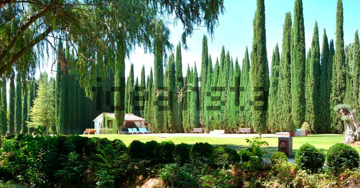 casa_03
