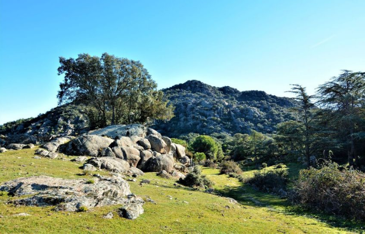 La finca tiene 150 hectáreas con pinos, fresnos y encinas