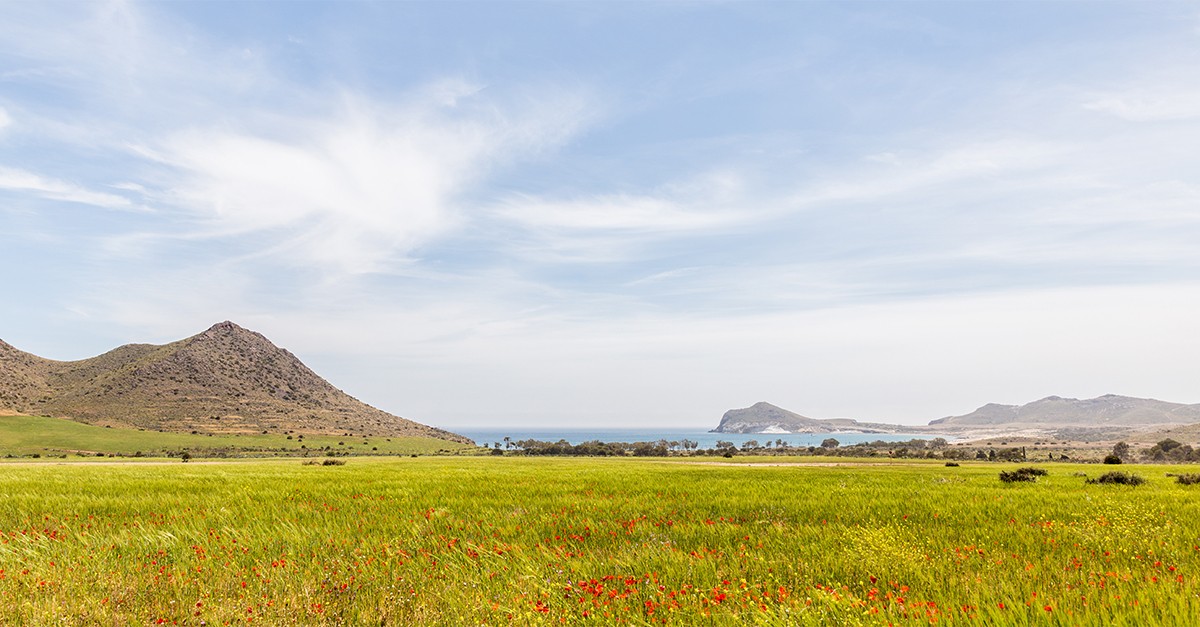 Andalucía autoriza un hotel dentro del parque natural Cabo de Gata