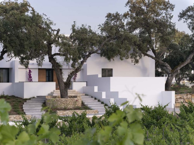 Hacienda La Caldera est la maison idéale pour les amateurs de vin en Espagne