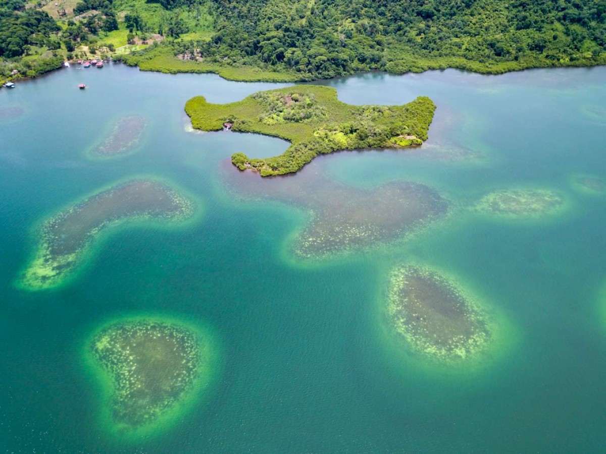 Esta isla es perfecta para construir la casa de tus sueños: está a la venta por 135.000 euros