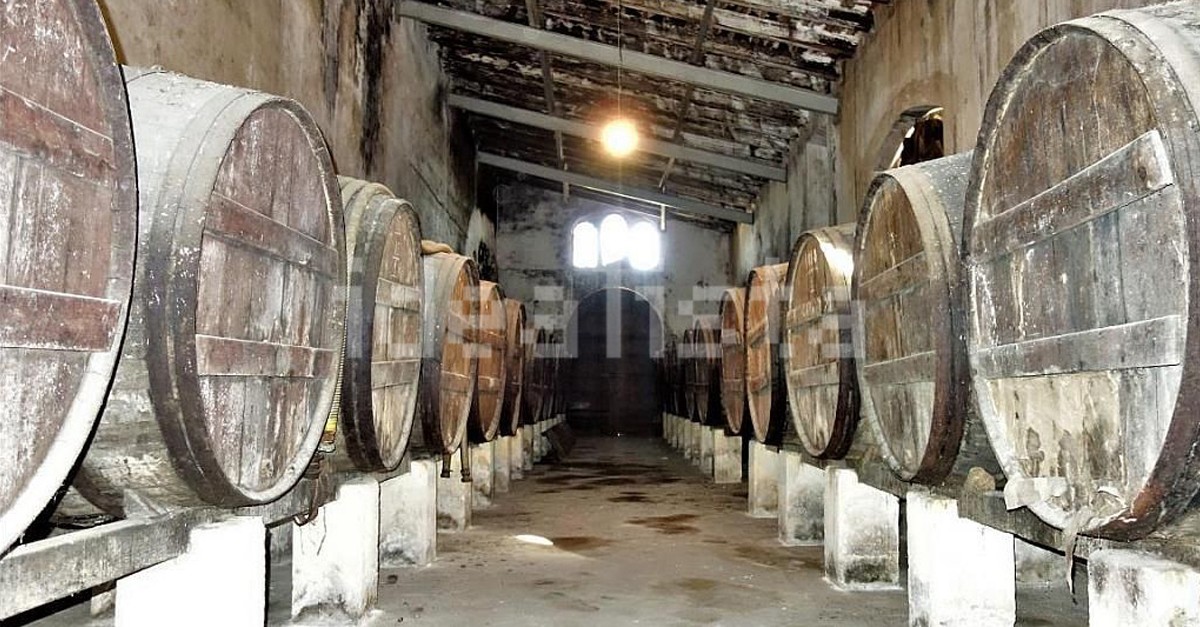 Bodegas del castillo