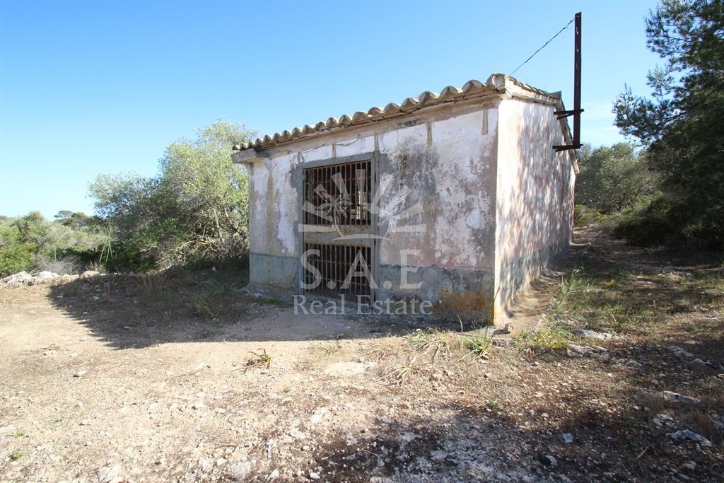 Caseta