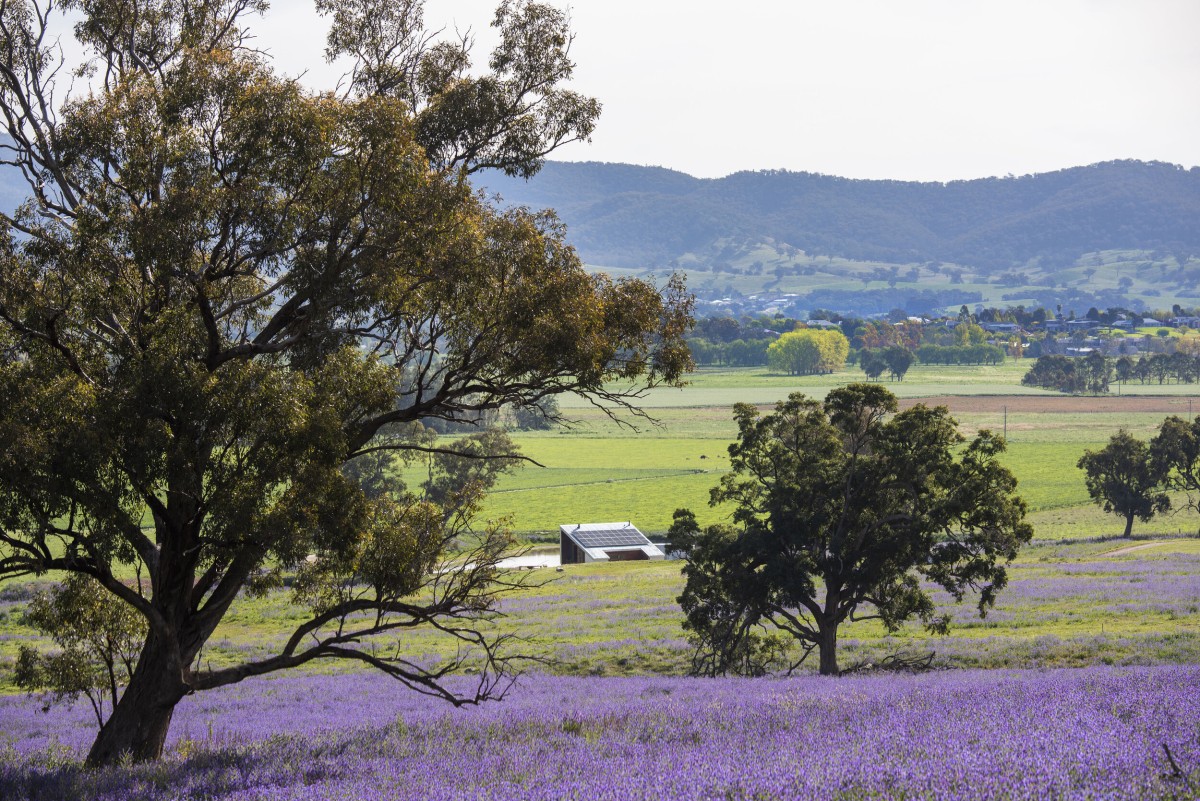 La casa está rodeada de un paisaje natural y salvaje