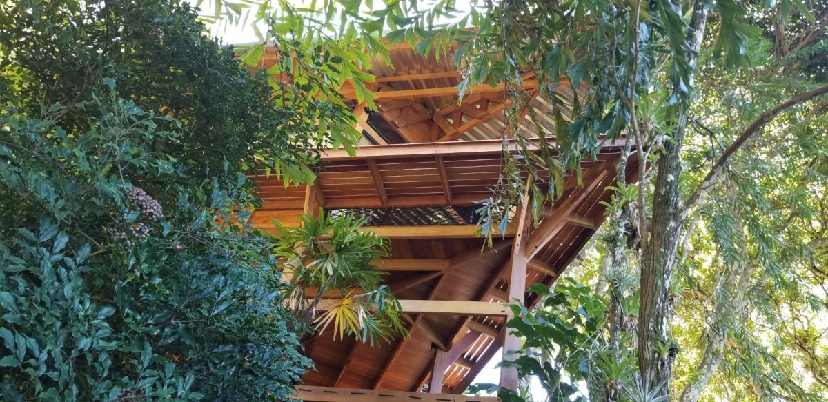 Parece la proa de un barco que surca la selva tropical