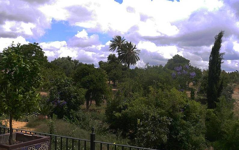 Vistas al campo gaditano